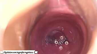 Intercourse Captured Within The Vaginal Cavity