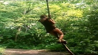 Explore O Lado Selvagem De Tarzan Nesta Experiência Retrô Italiana Em Hd Completa